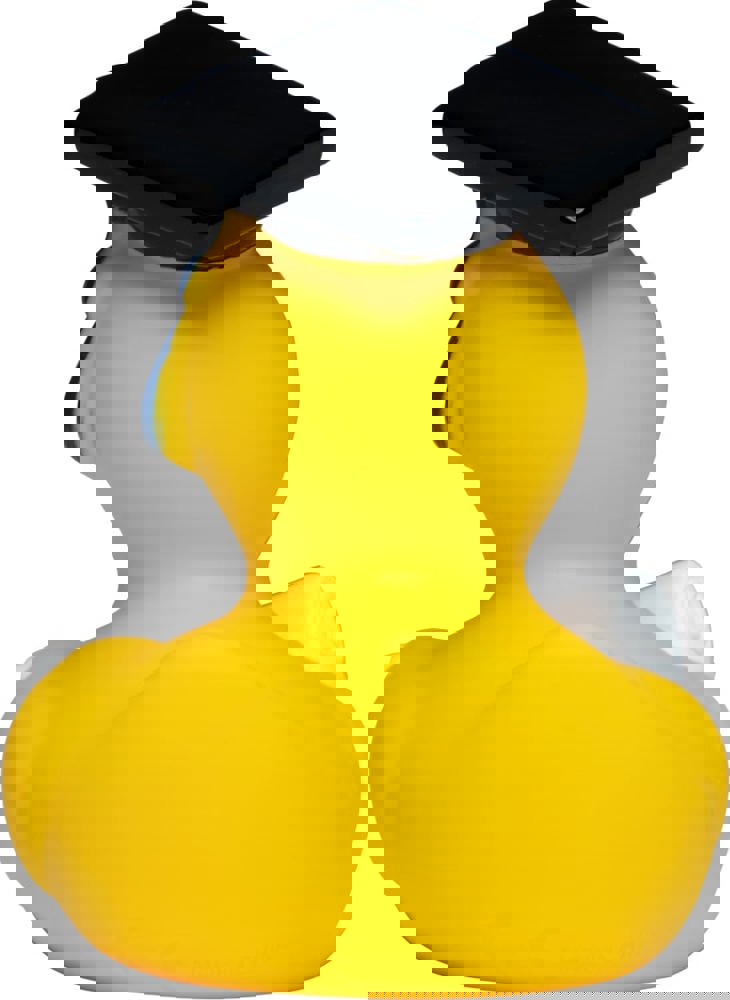 Quietsche-Ente Absolvent, multicolour, one size