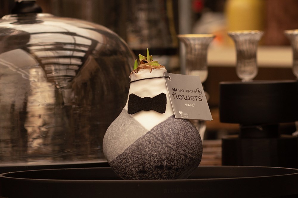 No Water Flowers® - Giletz Bowtie, In einer Geschenktüte