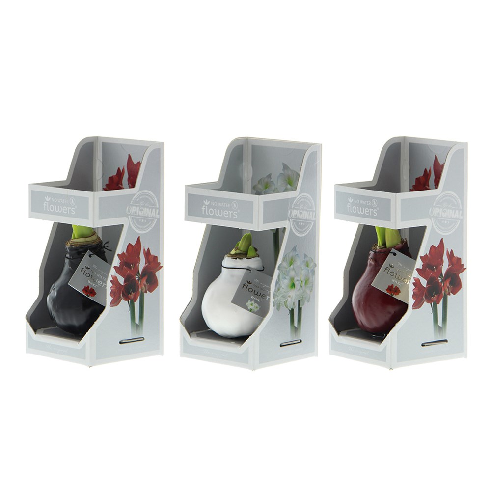 No Water Flowers® - Giletz Bowtie, In einer Geschenktüte
