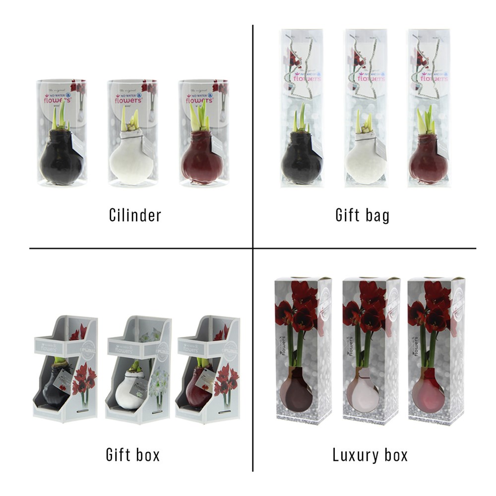 No Water Flowers® - Giletz Bowtie, In einer Geschenktüte