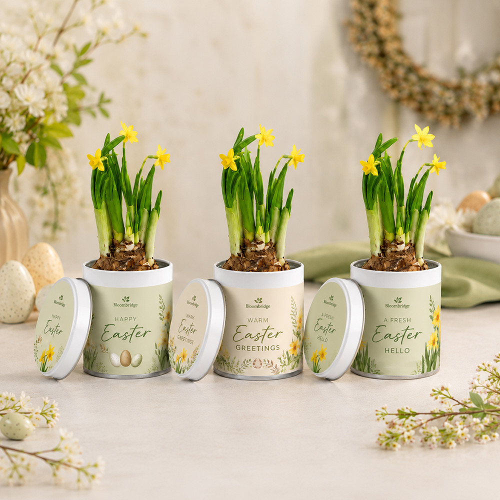 TinGreenz small - Spring edition