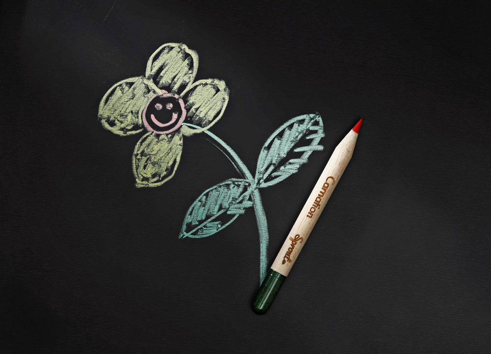 SPROUT - Farbstift mit Etui