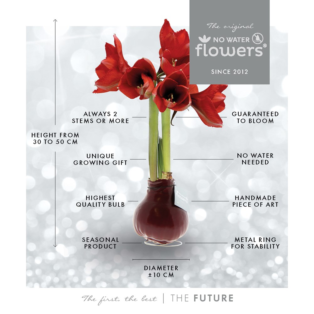 No Water Flowers® - Giletz Bowtie, In einer Geschenktüte